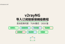 2026 最新 v2rayNG 导入订阅链接保姆级教程(含分应用、TUN 模式)-新手村